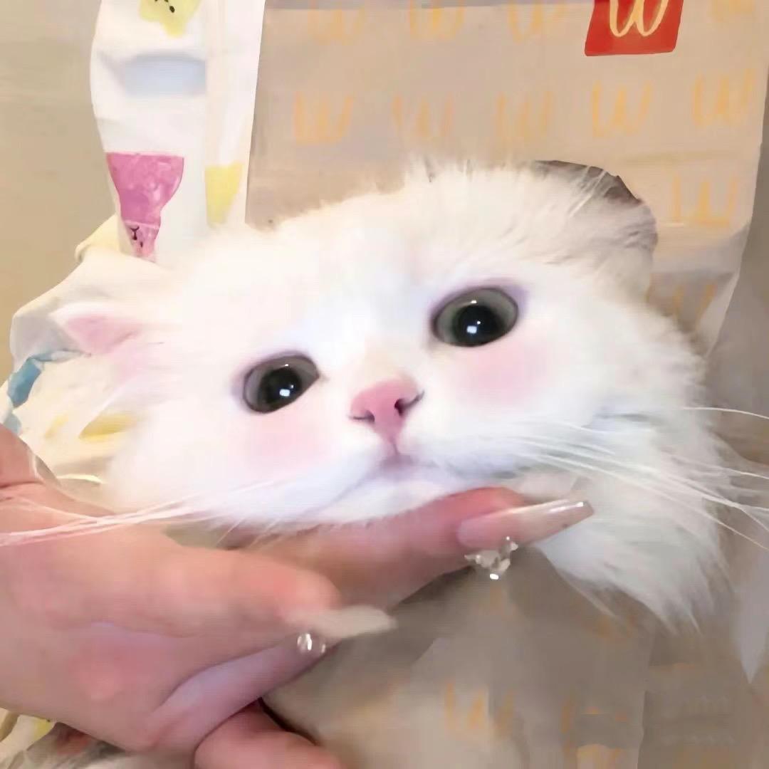 鱼零零～