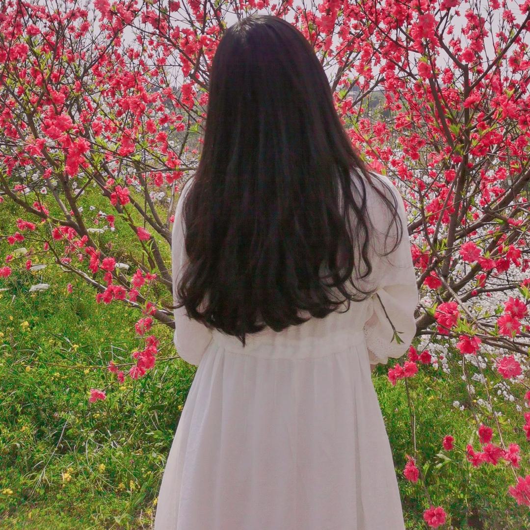 遇健李是最美的意外