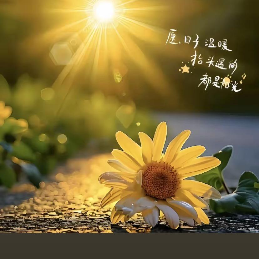 小兔兔
