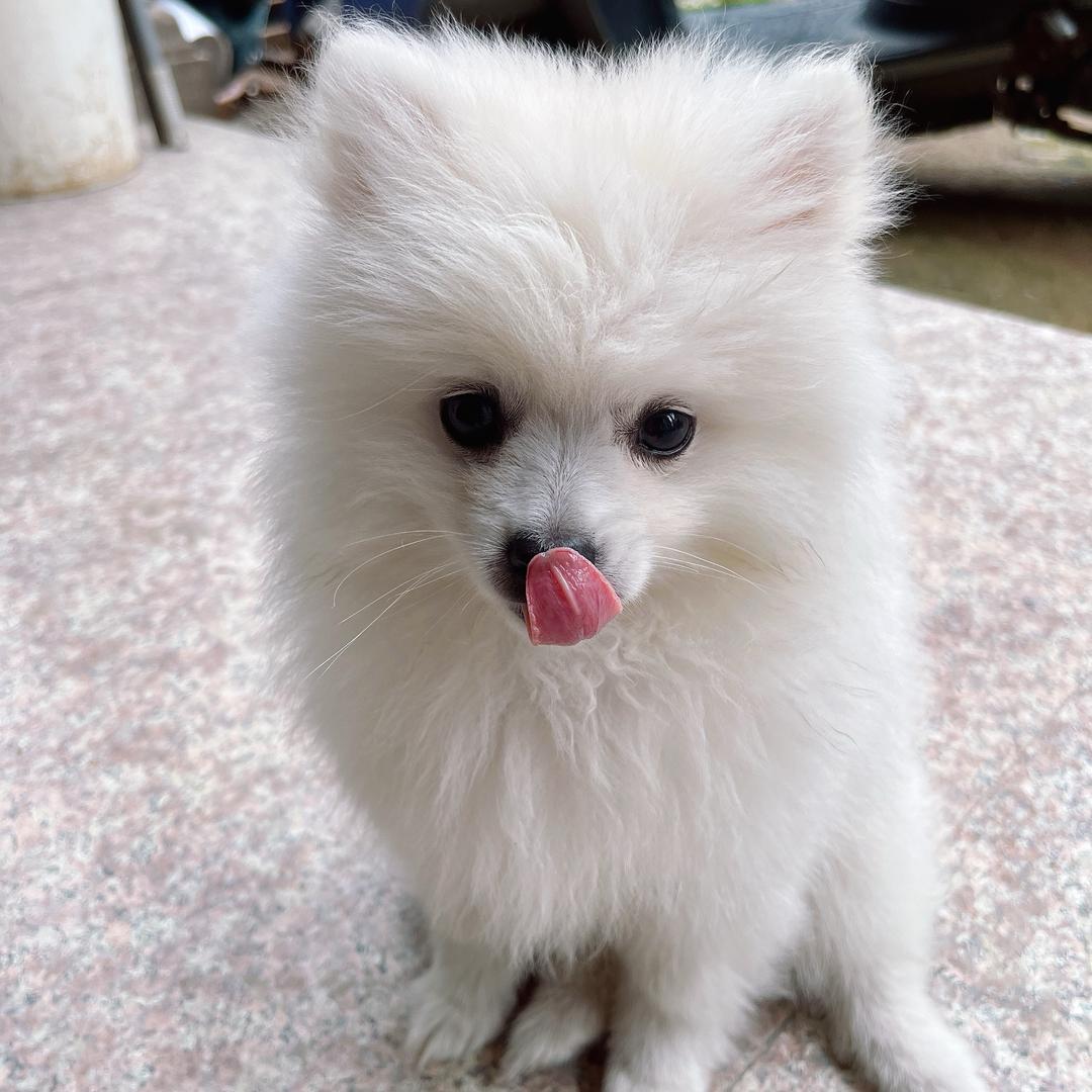 小张姐