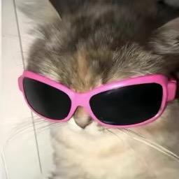 𝘼