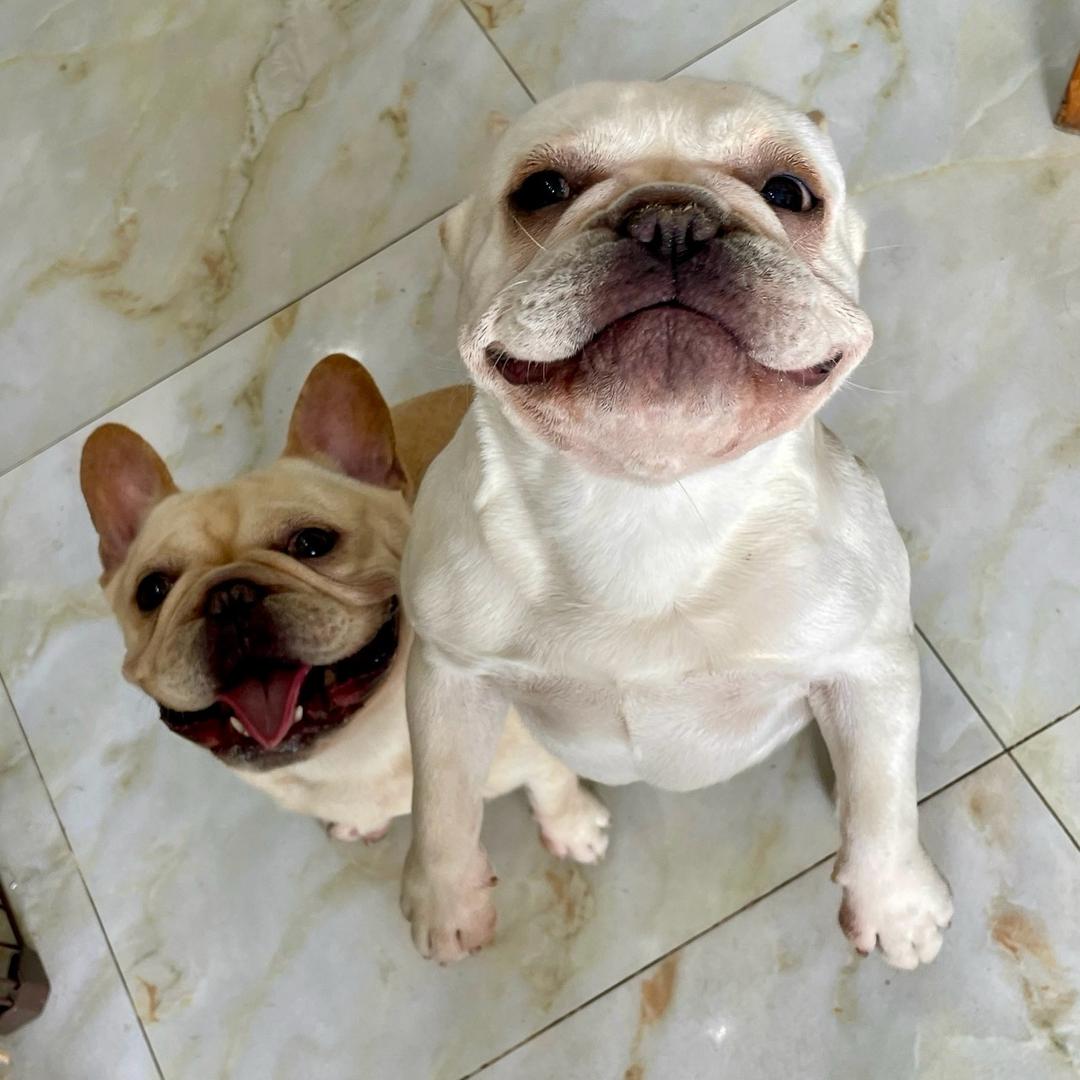 地主家的傻孩子们