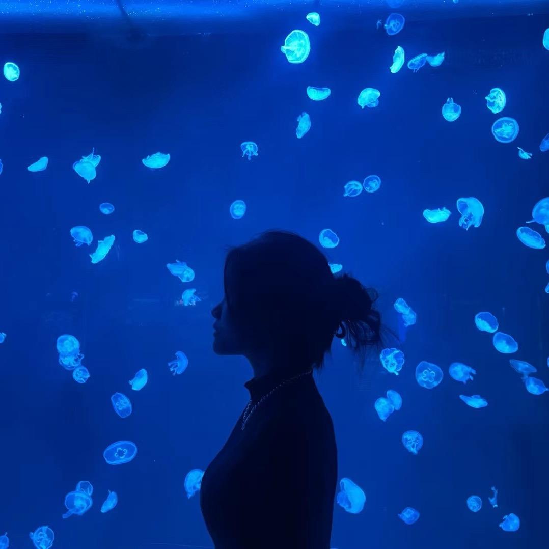 A酱（见过李永钦版）