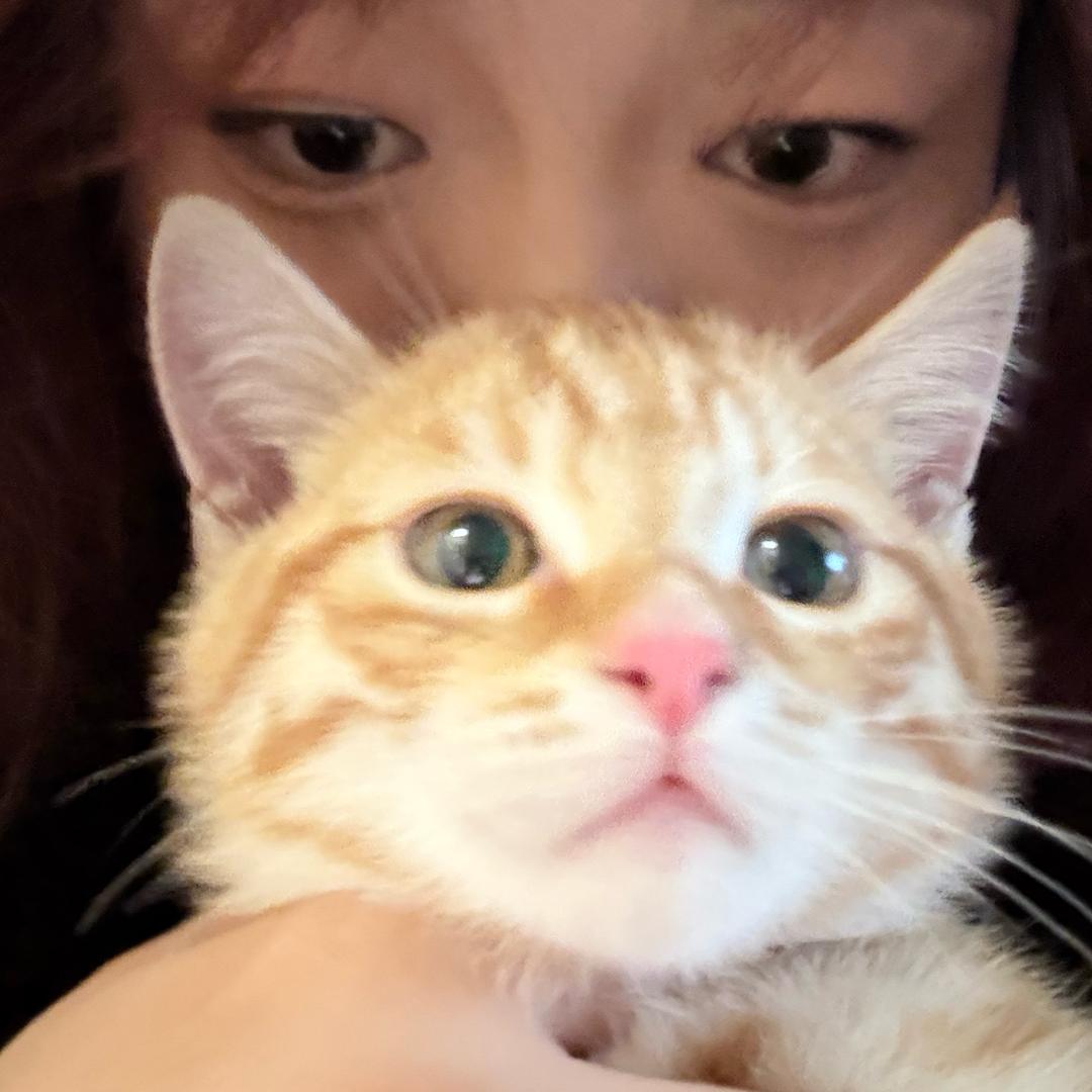 媛媛媛