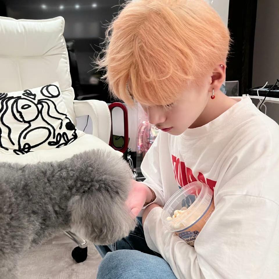 玫瑰慕斯小蛋糕🧁