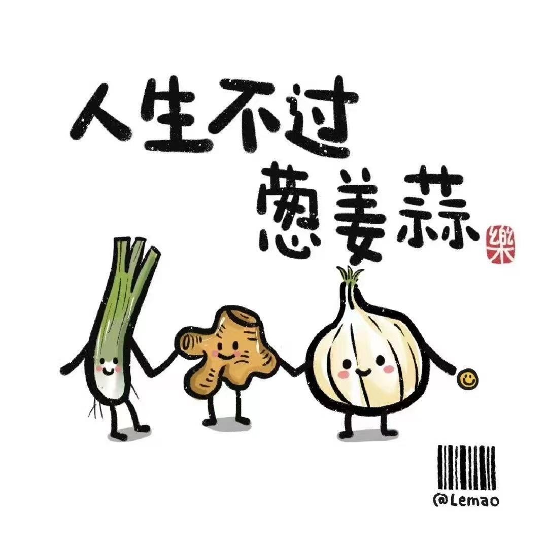 江南游侠