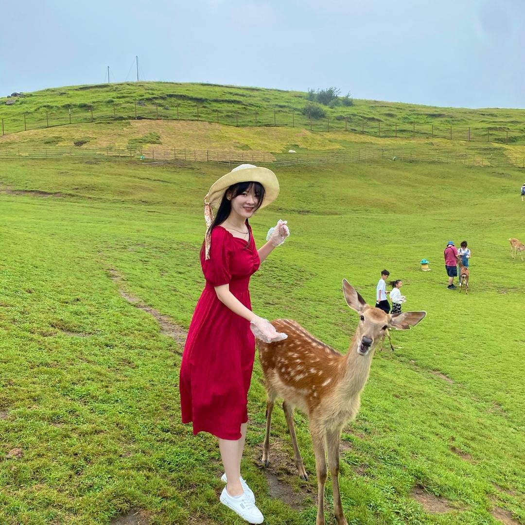 黑小马电商☺️小师妹