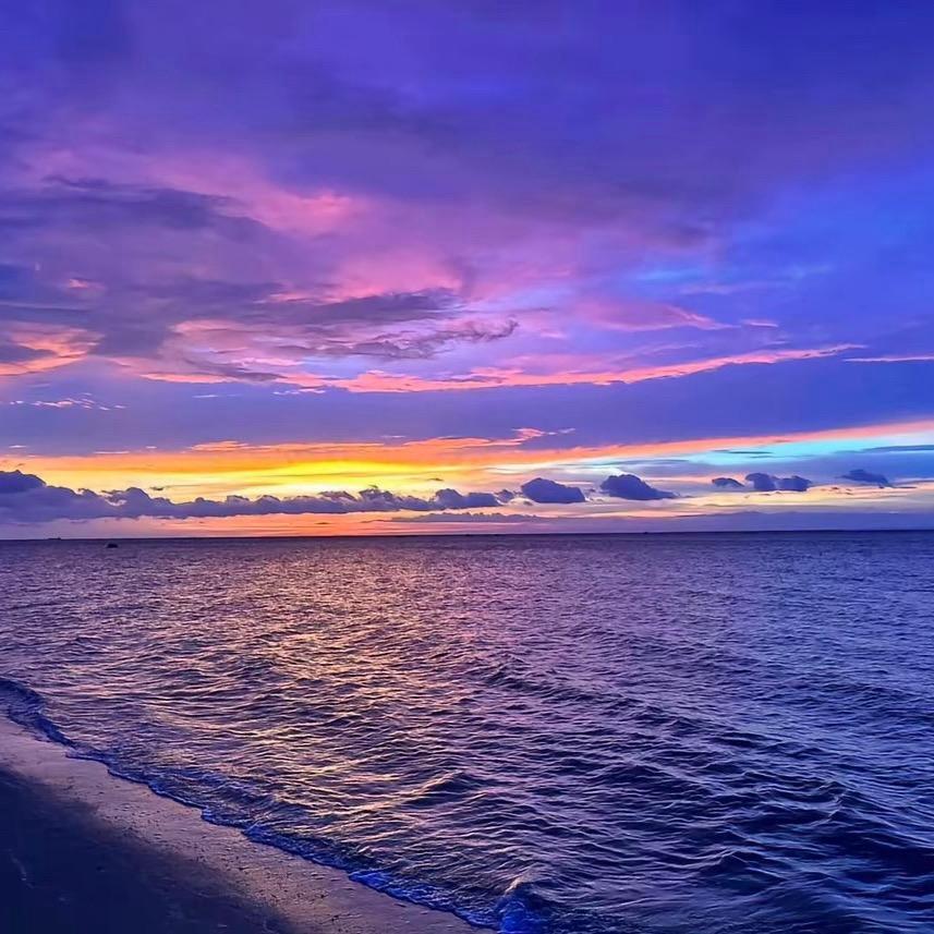 素履建心　　　　　      　　　　༽