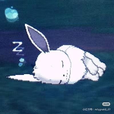 小雪o-o
