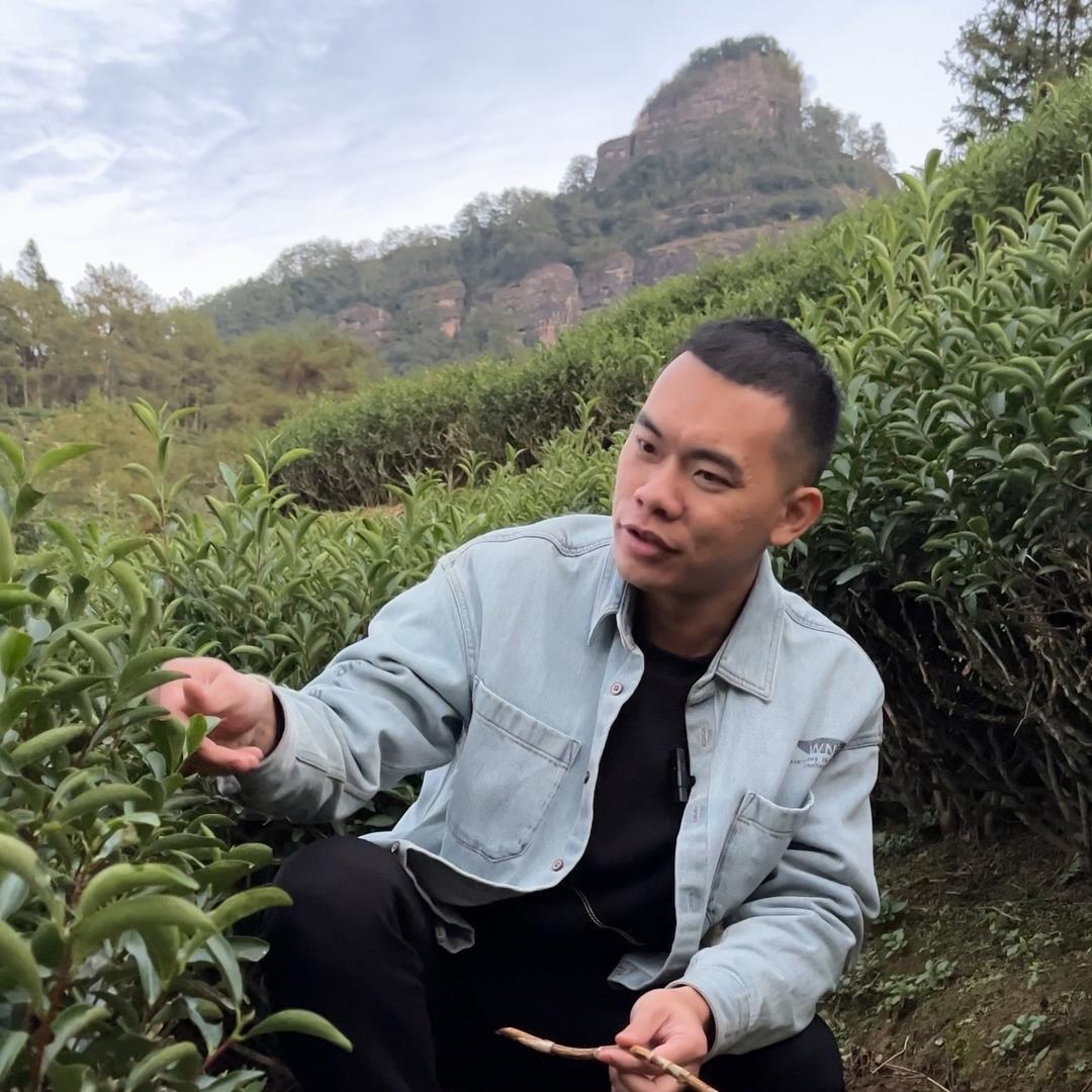 大灰