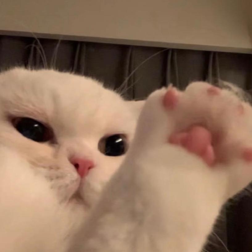 懒洋洋