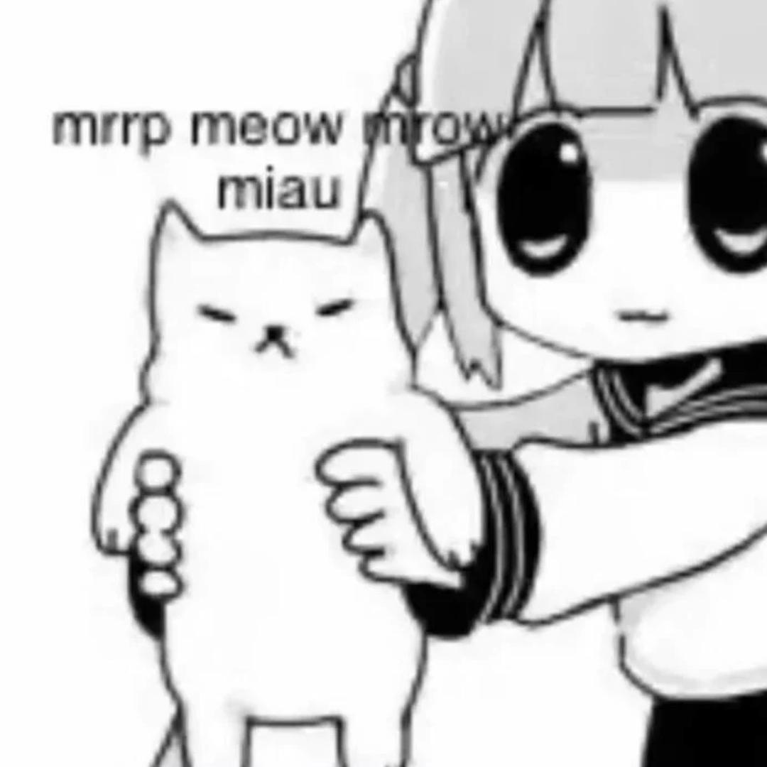 矢野凛纱