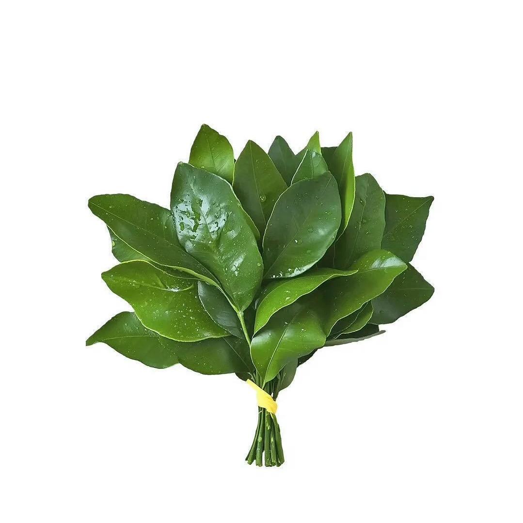 减肥使我疯狂🧎🏼‍♀️‍➡️