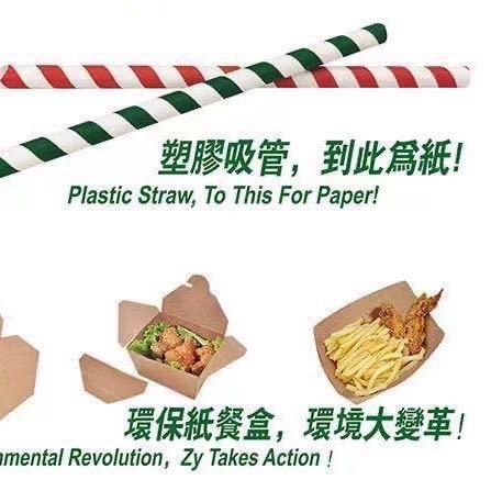 东莞一次性纸餐盒纸吸管
