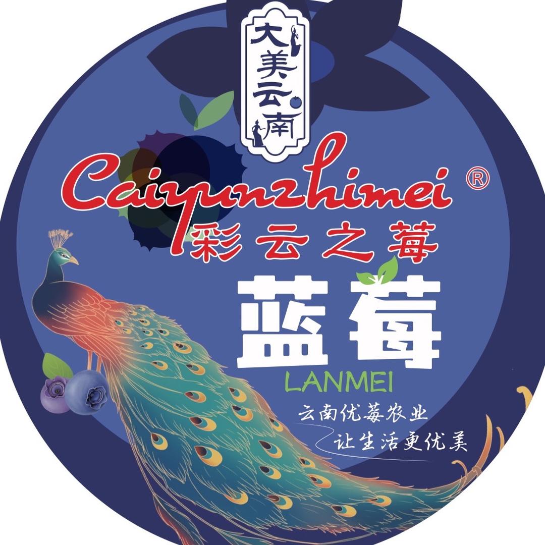 彩云之莓蔬菜制品旗舰店