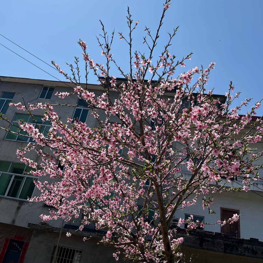 福建三表妹