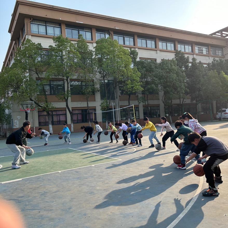 @一个埋种子的梯锹