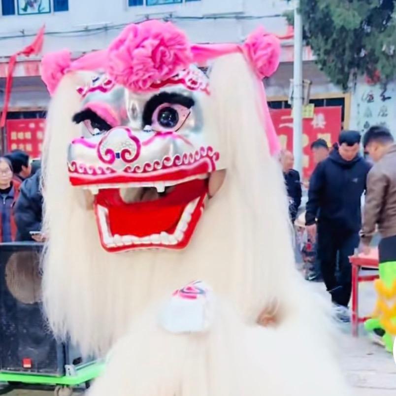 河南省小白狮《全国接单》