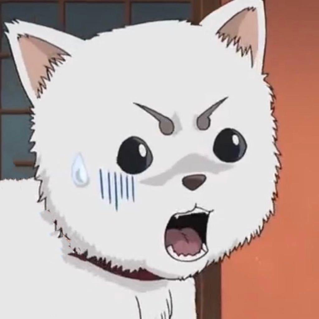 ，               1900