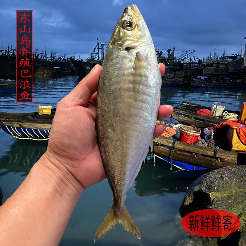 吃吃吃啦
