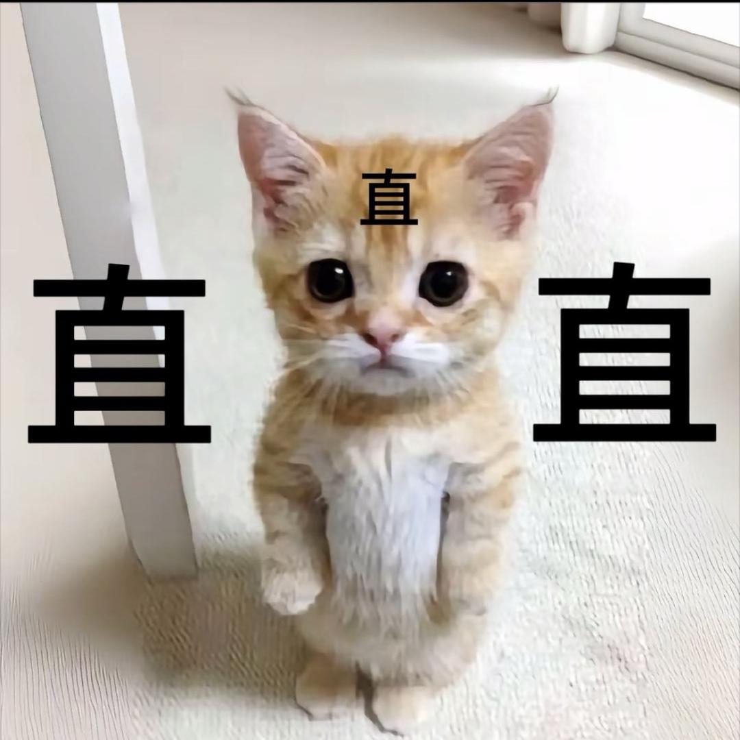公子.