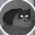 壮壮猫