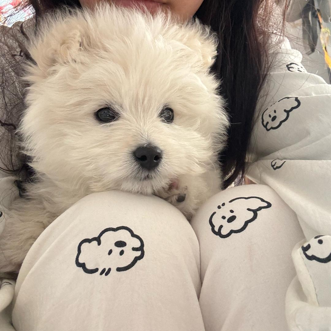 我要暴富！！！（想当富婆版）