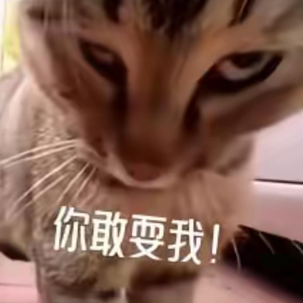 用户  1905210977954