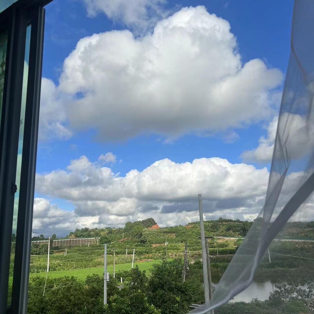 海口龙华区晨清勇信息咨询工作室