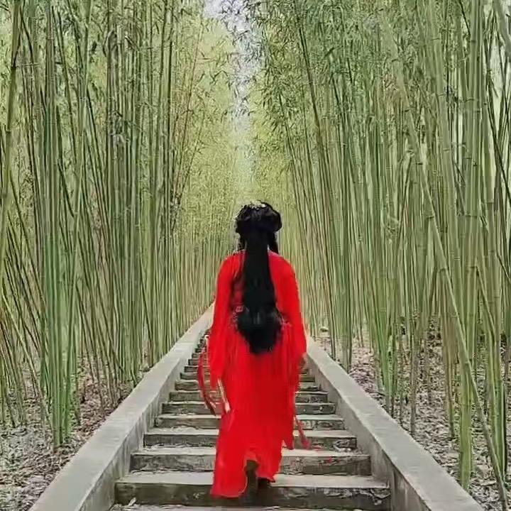 戴云出品--必是精品