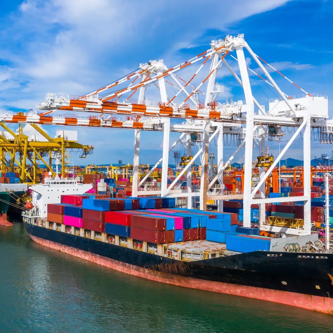 上海港3号仓萌总