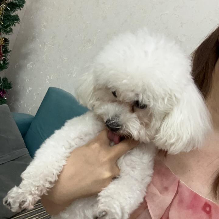 小月悦@