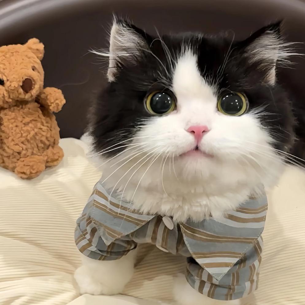 吃蛋挞只吃蛋挞皮