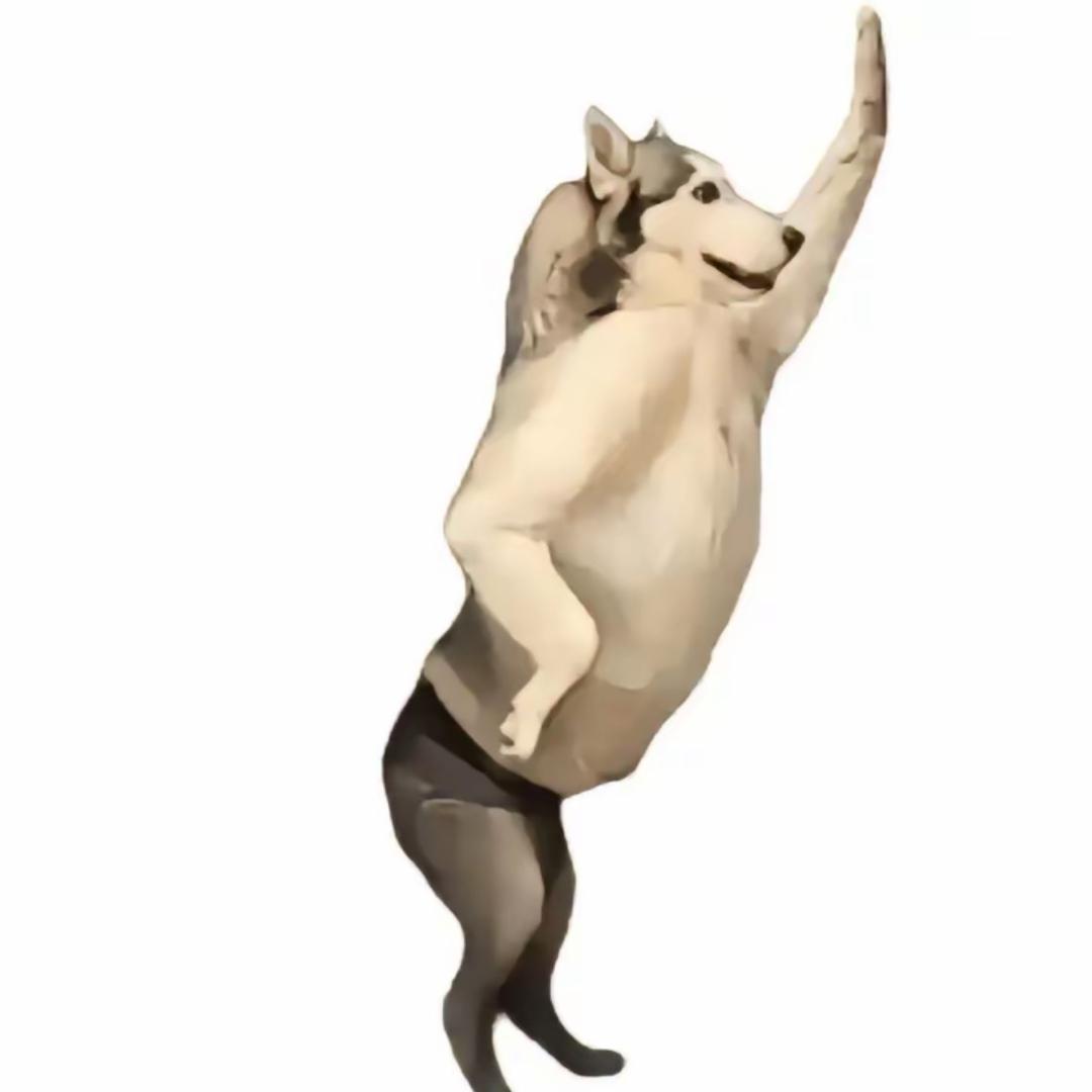 恶狼