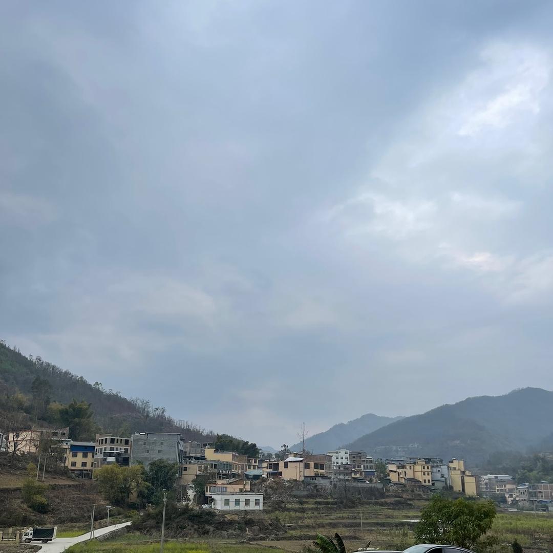 今生无悔