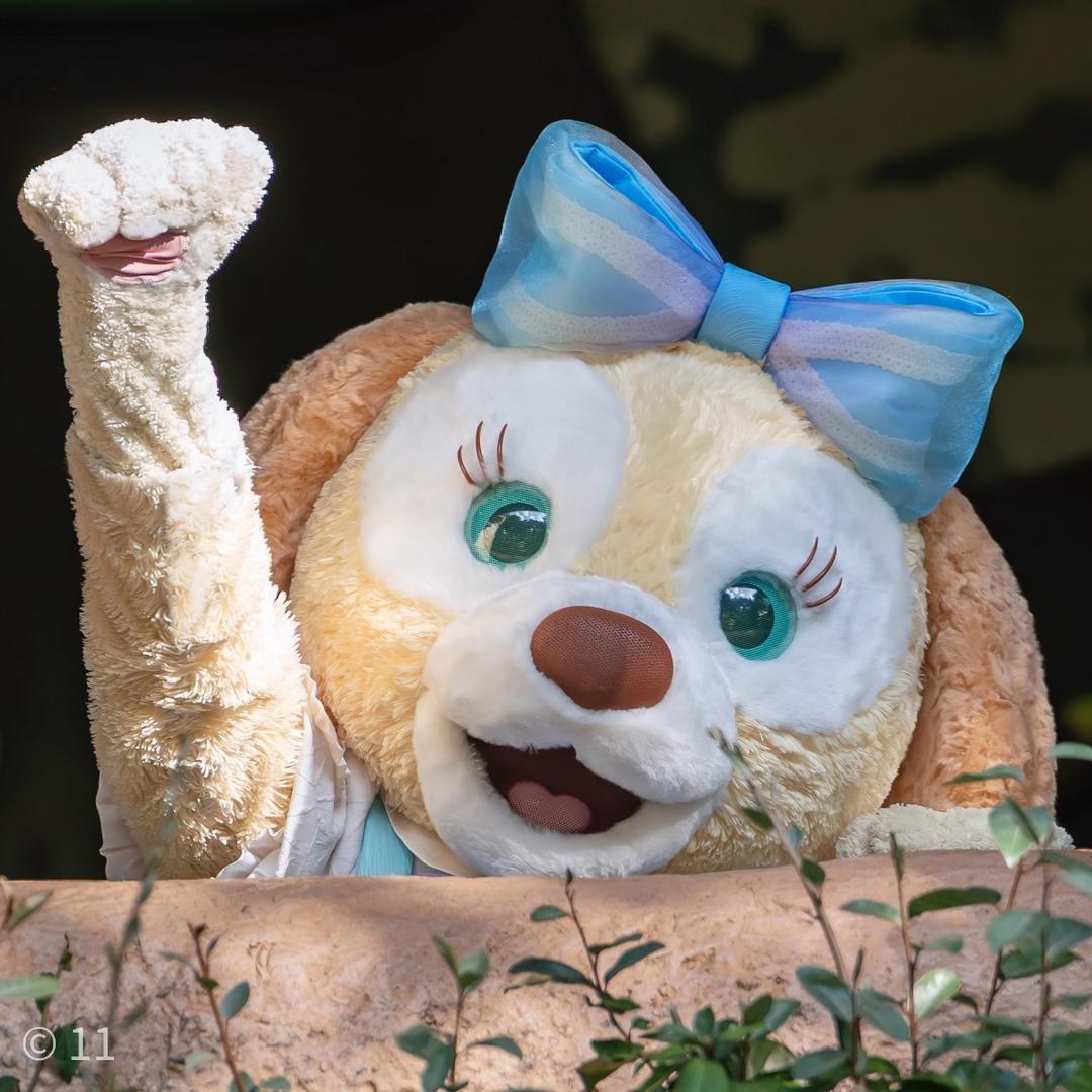 三只小猫