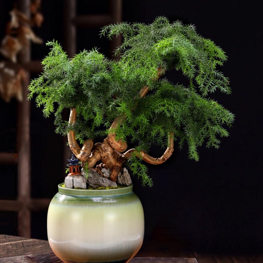 江西跃盛园林景观有限公司