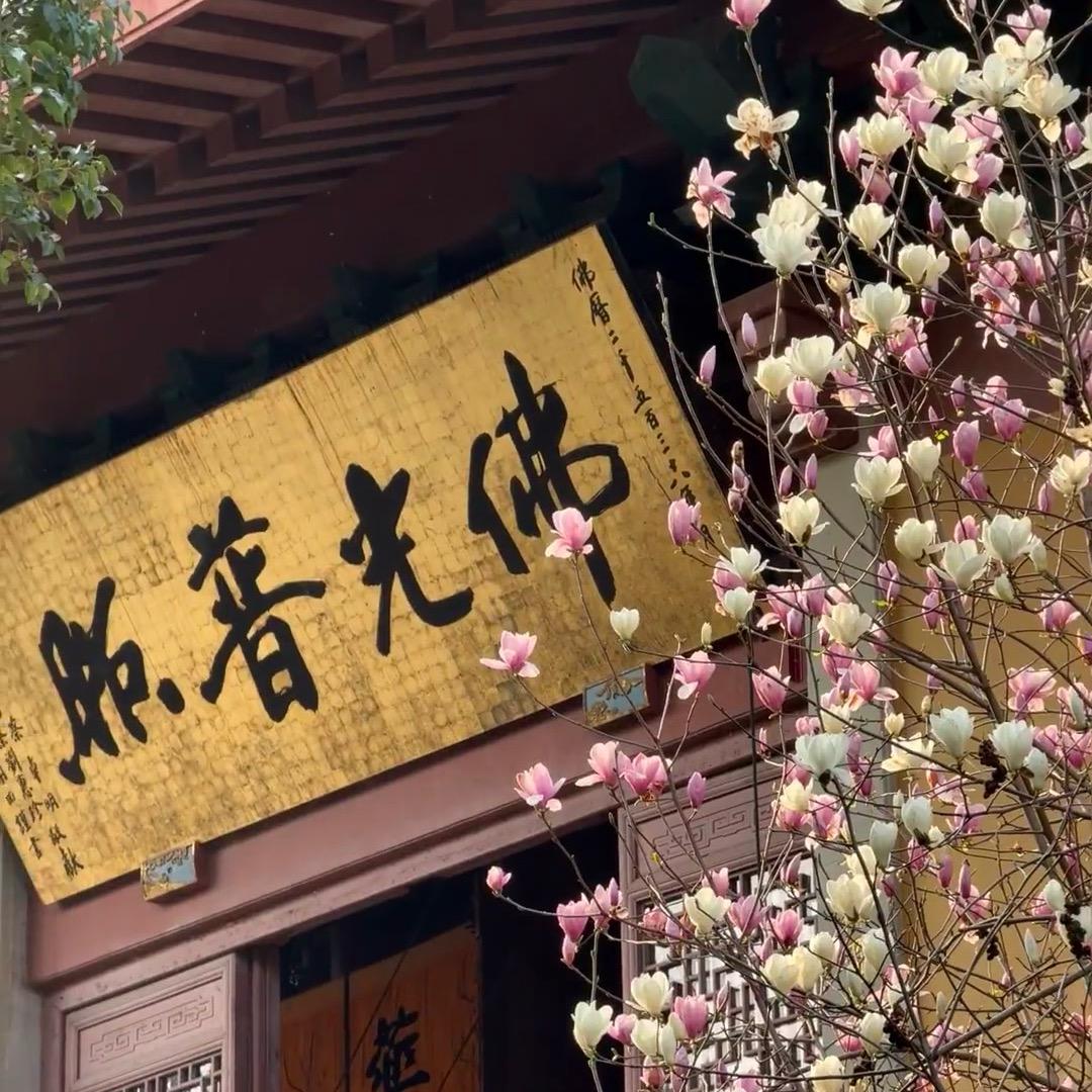 聚龙阁🐲李先生☯️