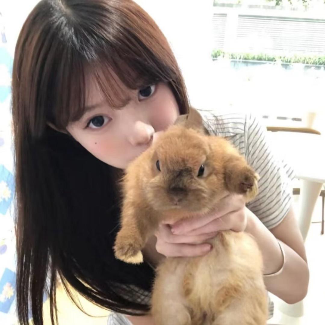 可爱金吉拉