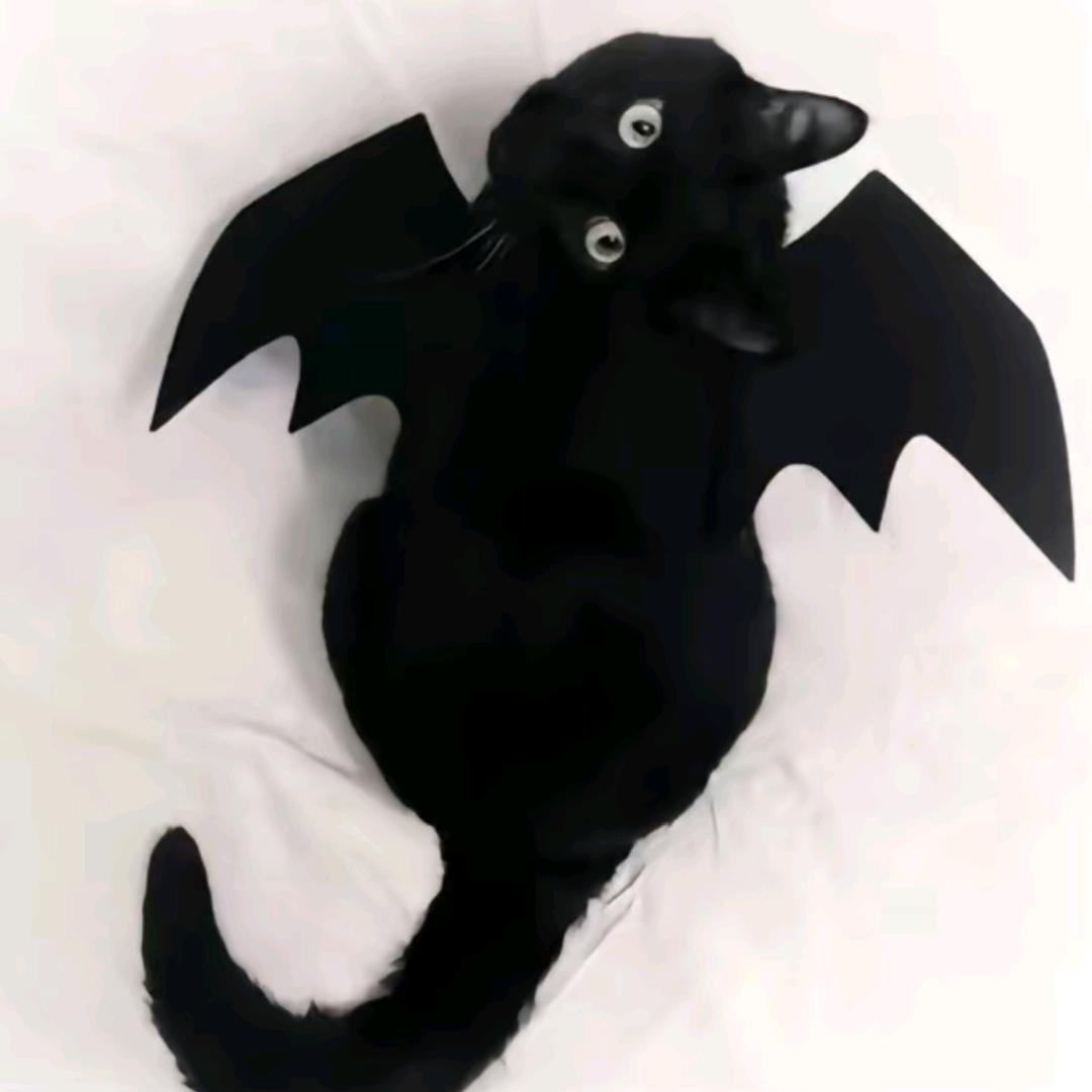 ΩΩΩΩΩΩΩΩ