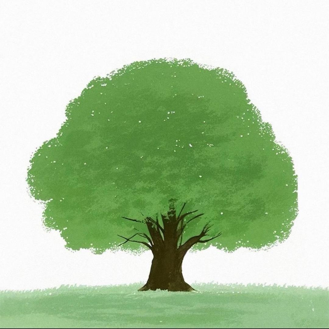 葡萄小柏