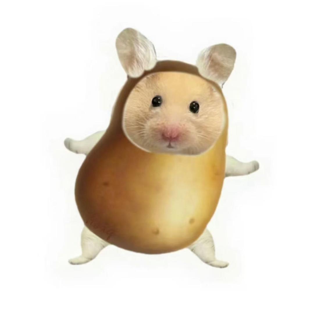 脆脆大土豆🥔