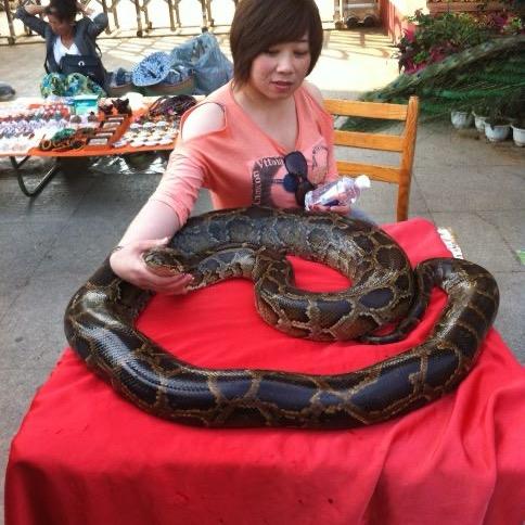 苗姐，香辣鸡锅，祁各庄店（招收学员）