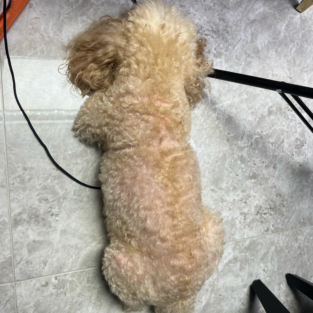 幸福时差