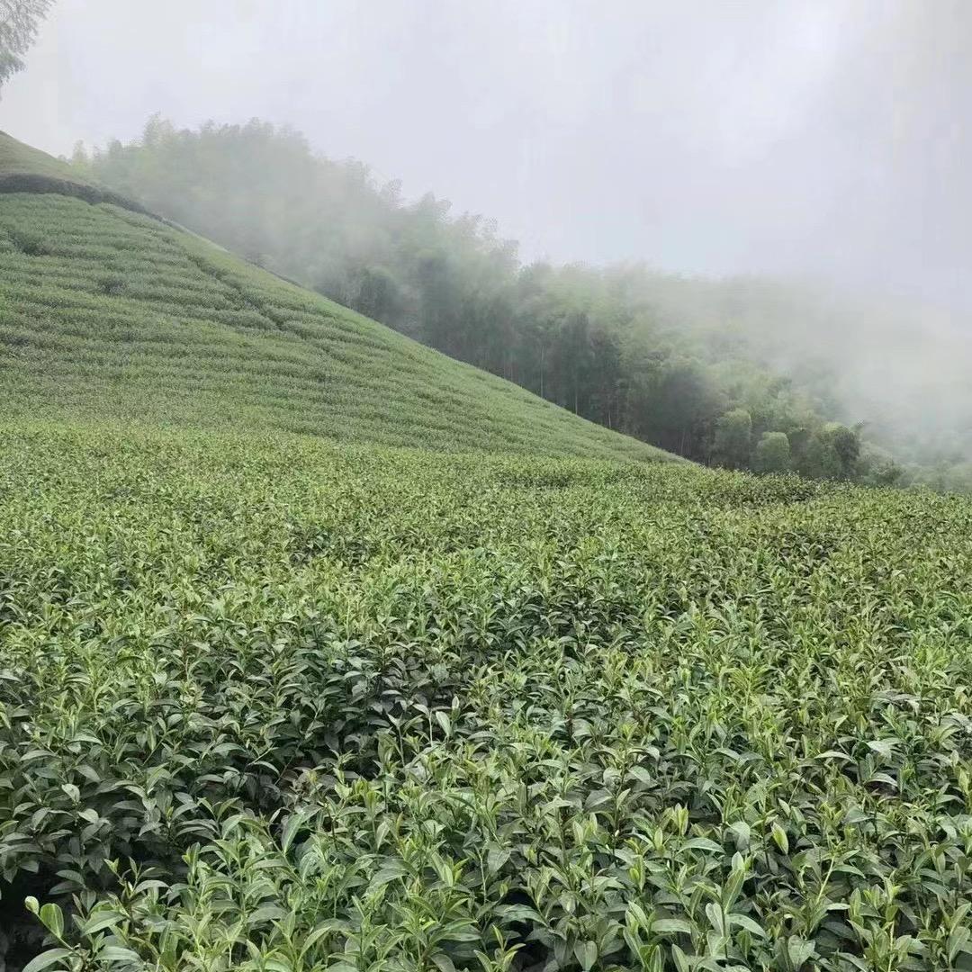 莆田伊丝碧媞美容