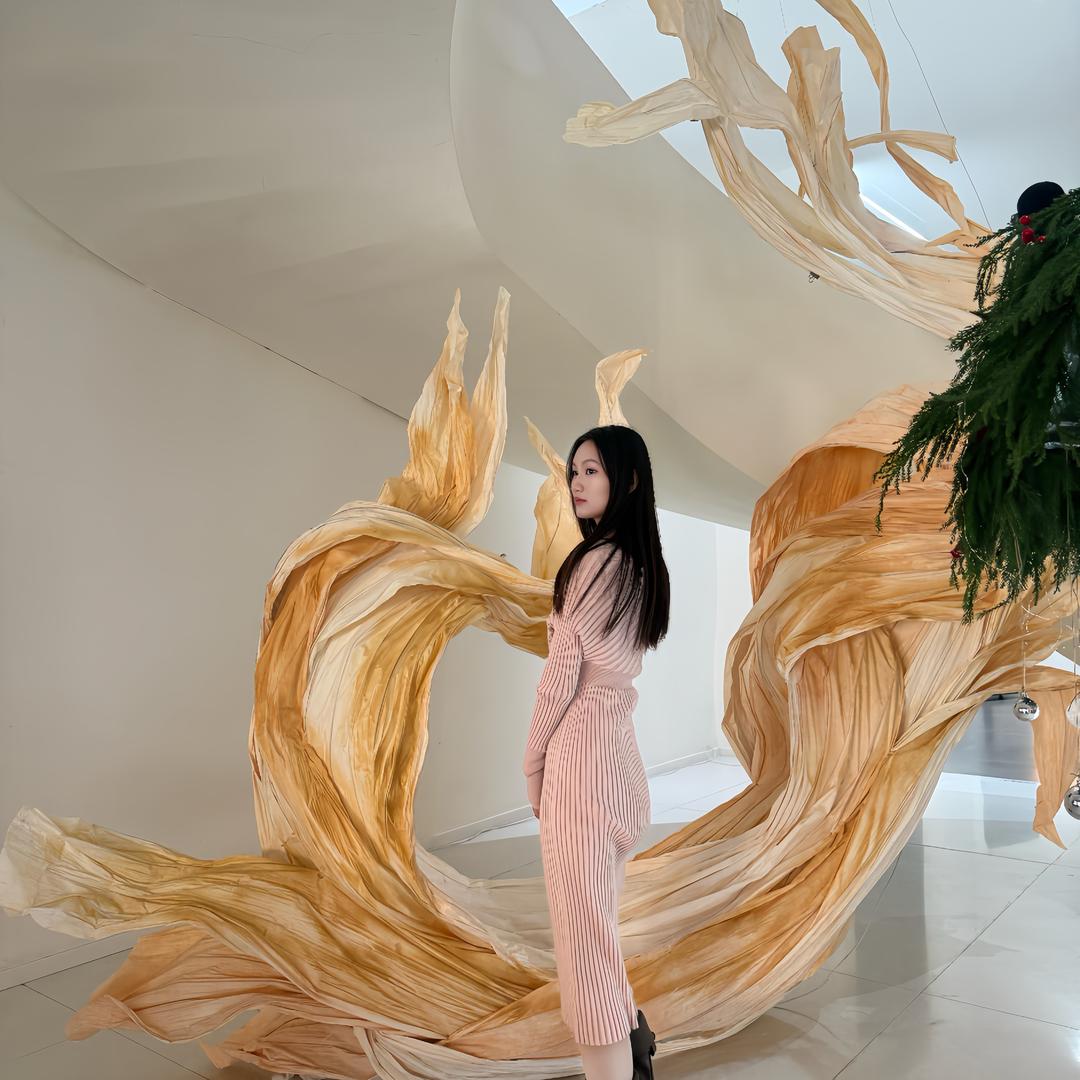 鸽子🕊️