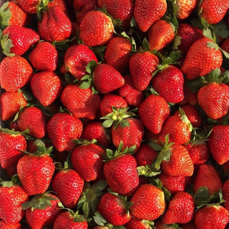 自产自销农产品，土特产，零售批发