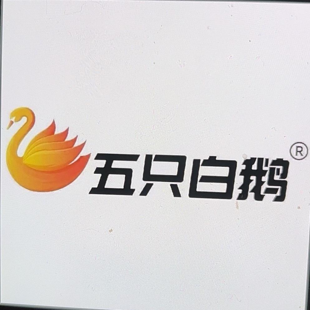 五只白鹅工厂大码丽姐