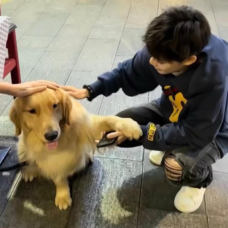 嘶溜嘶溜
