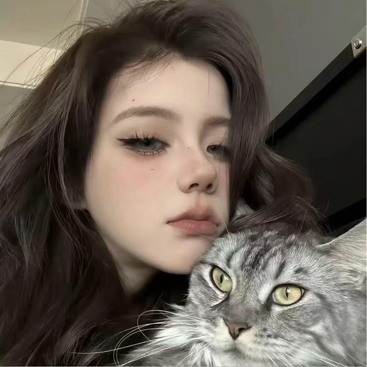 ㅤㅤㅤㅤㅤㅤㅤㅤㅤㅤㅤㅤㅤ